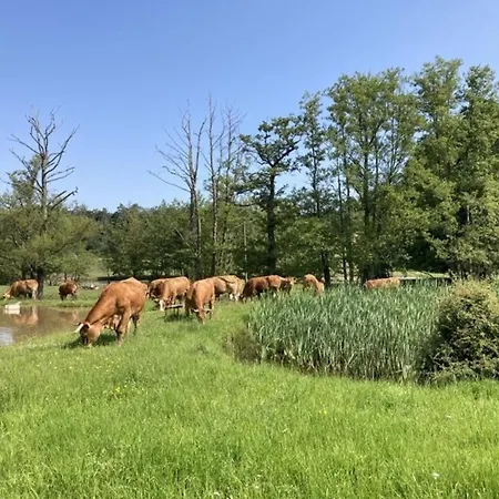 דירה Schwabenhof Ii Leutershausen (Bavaria)